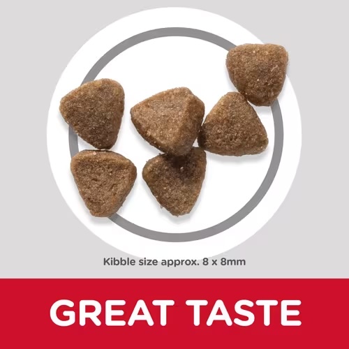 Hill's Science Plan Kitten Food with Chicken Dry - 1.5 kg