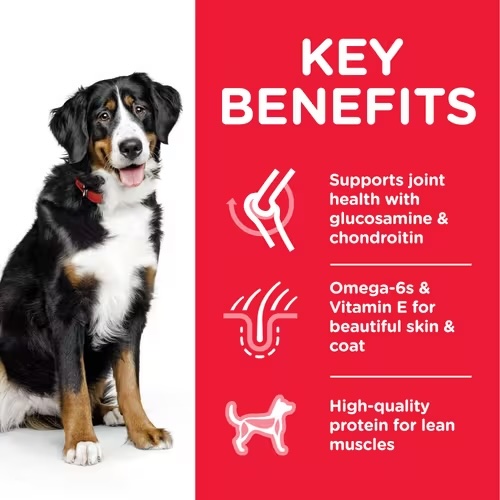 Hill's Science Plan Large Breed Adult Dog Food with Chicken Dry - 2.5 kg