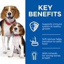 Hill's Science Plan Puppy & Mother Mousse - 200 g