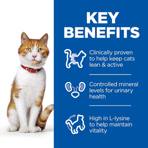 Hill's Science Plan Sterilised  Adult Cat Wet Food with Chicken Pouches Wet - 85 g