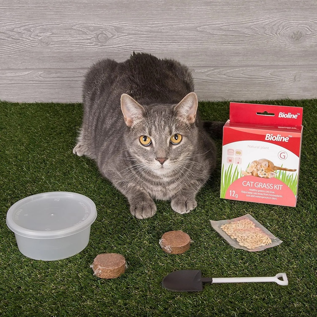 Bioline Catgrass Kit - 12 g [Dimension - 5.4 x 13.4 x 12.2cm]