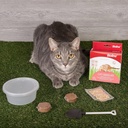 Bioline Catgrass Kit - 12 g [Dimension - 5.4 x 13.4 x 12.2cm]