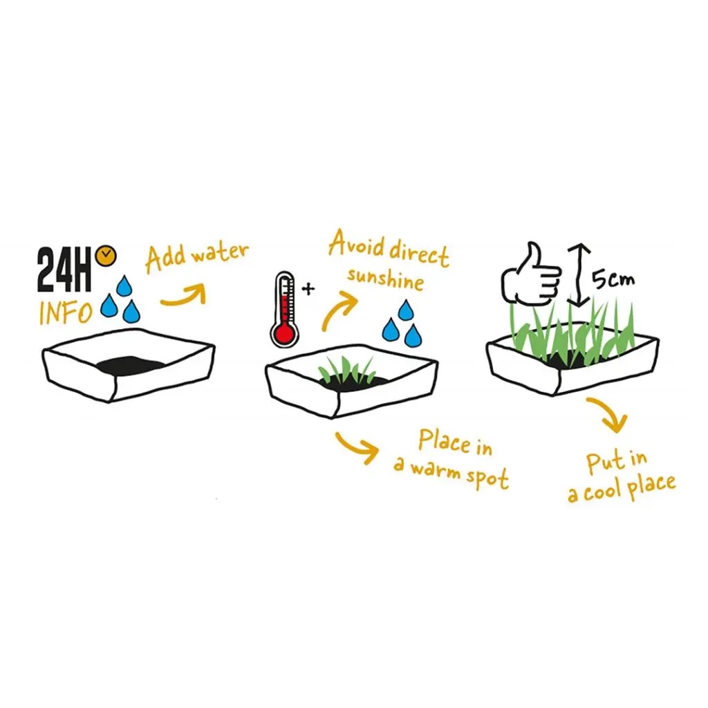  Duvo+ Cat Grass Kit - 70g - 17, 5x13x3cm