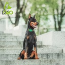 DOCO® AirTag D-ring Collar 2.0 x 34-51cm (M)