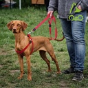 DOCO® Signature Nylon Leash - 4ft-1.5 x 120cm (S)