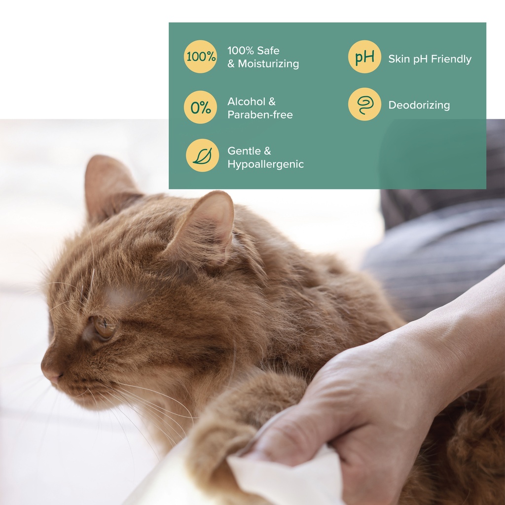 NurturePro AG+ Silver Pet Wet Wipes (100 Sheets/ Pack)