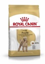 Breed Health Nutrition Poodle Adult