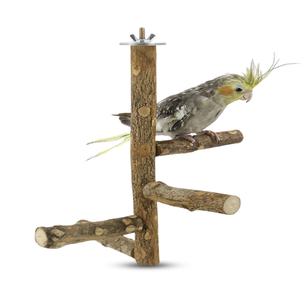 Parrots Standing Stick 25 x 12.8