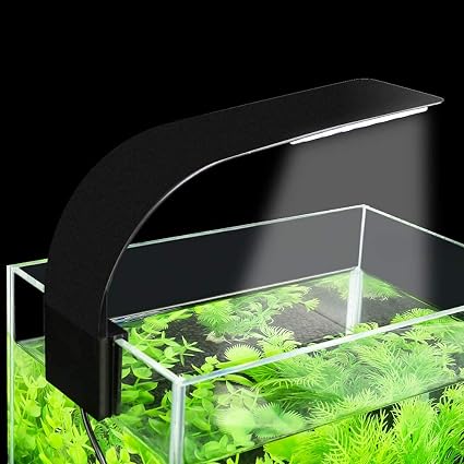 LED Clip Light 10W Black X5