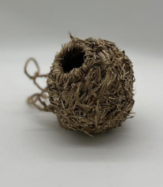 Bird nest