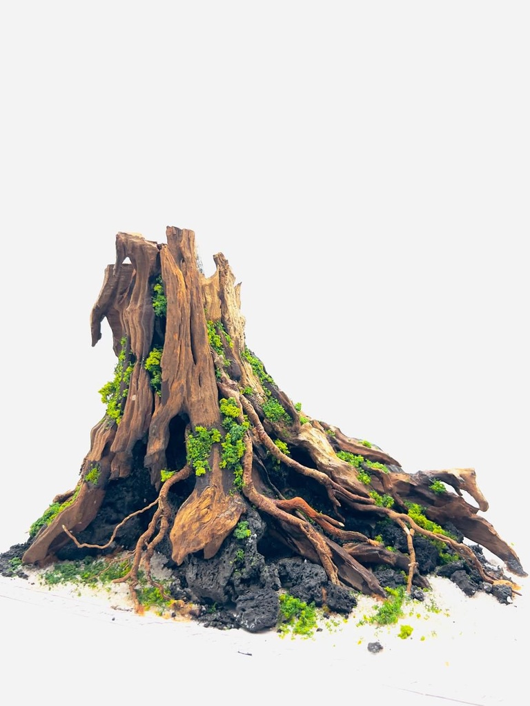 Ancient Root Stump Aquascape (Tank size: 30.18.20)