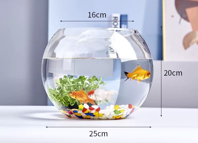 Camry Glass Bowl 10 Inch, Size M