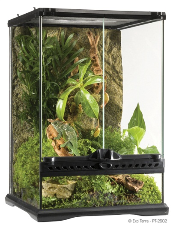 Exo Terra Glass Natural Terrarium, Nano/Tall, Black, 20 x 20 x 30 cm