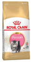 Feline Breed Nutrition Persian Kitten