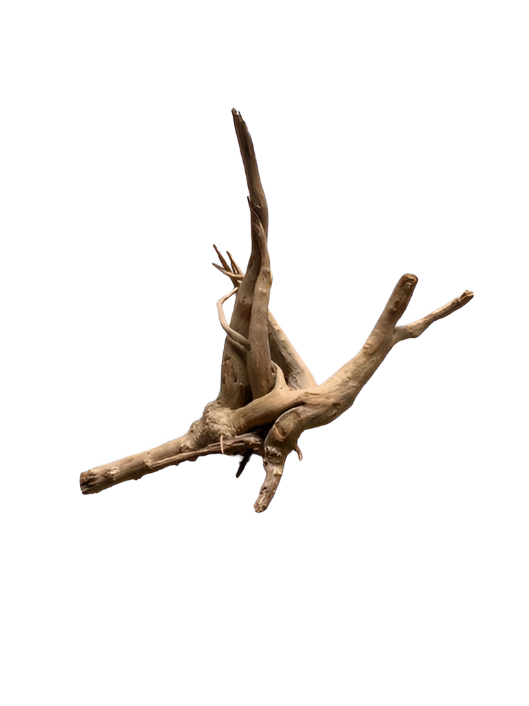 Karis Aqua Scape Mangrove-Small,Medium & Large per kg