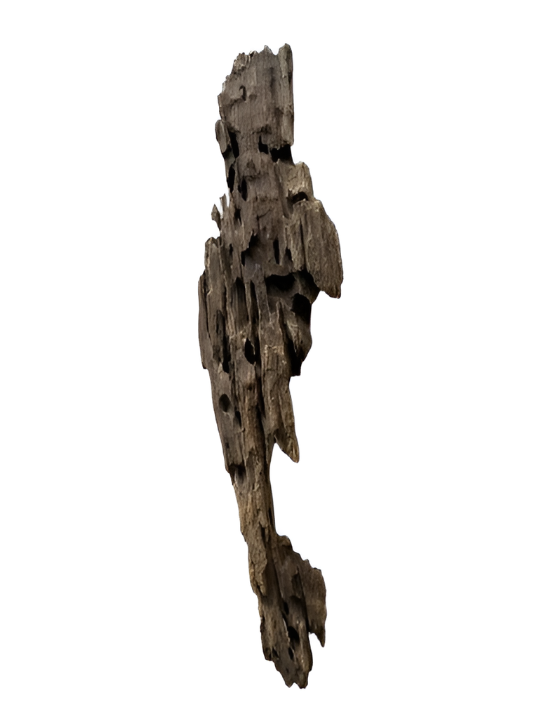Karis Aquarium Honey Comb Drift Wood-Small,Medium & Large per kg