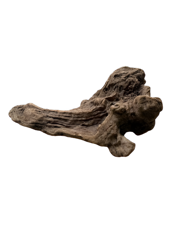 Karis Wild Root Drift Wood per kg