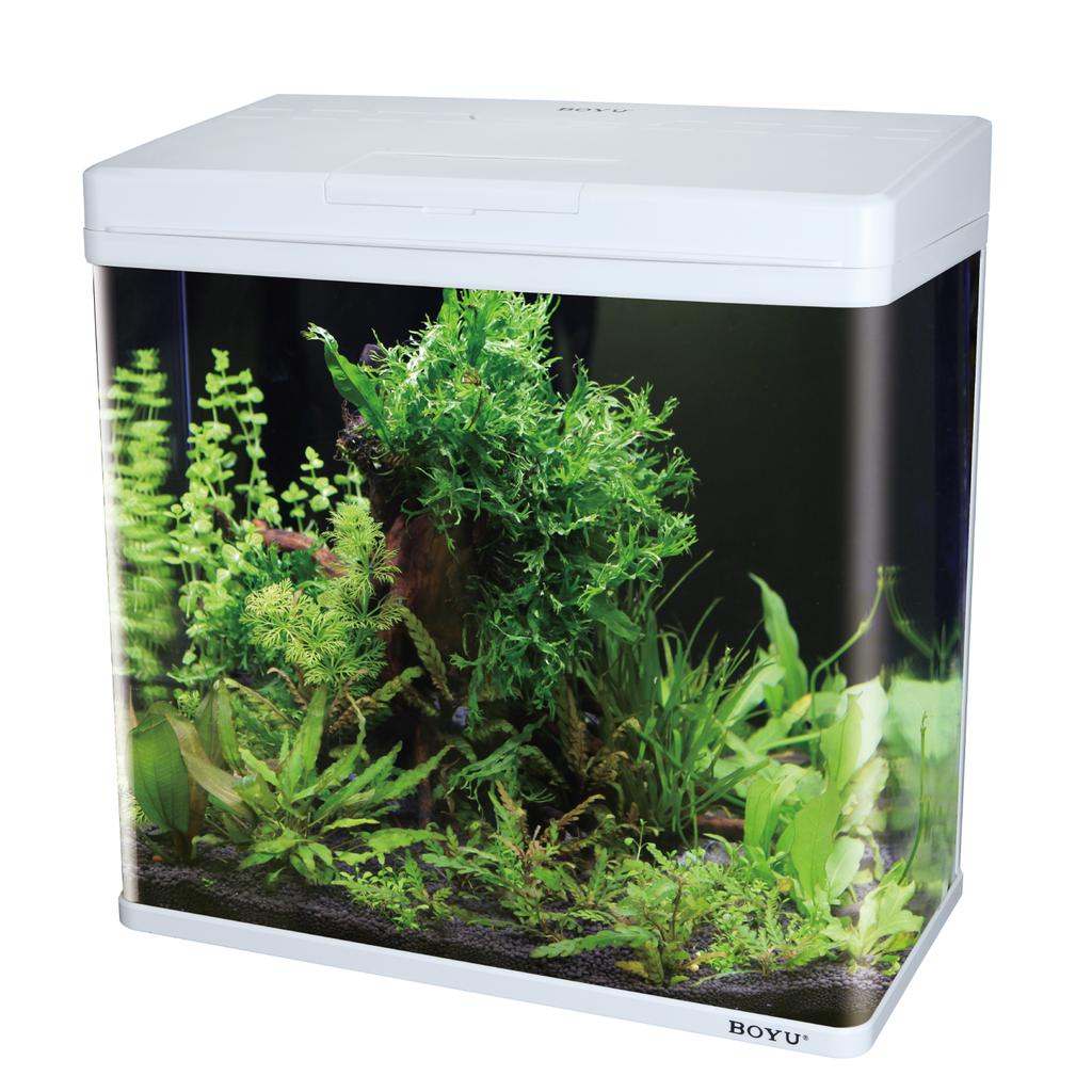 Boyu Aquarium MS-Series(Without Cabinet) 48 x 25 x 49 cm