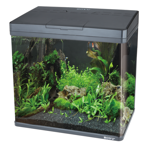 Boyu Aquarium MS-Series (Without Cabinet) 48 x 25 x 49 cm