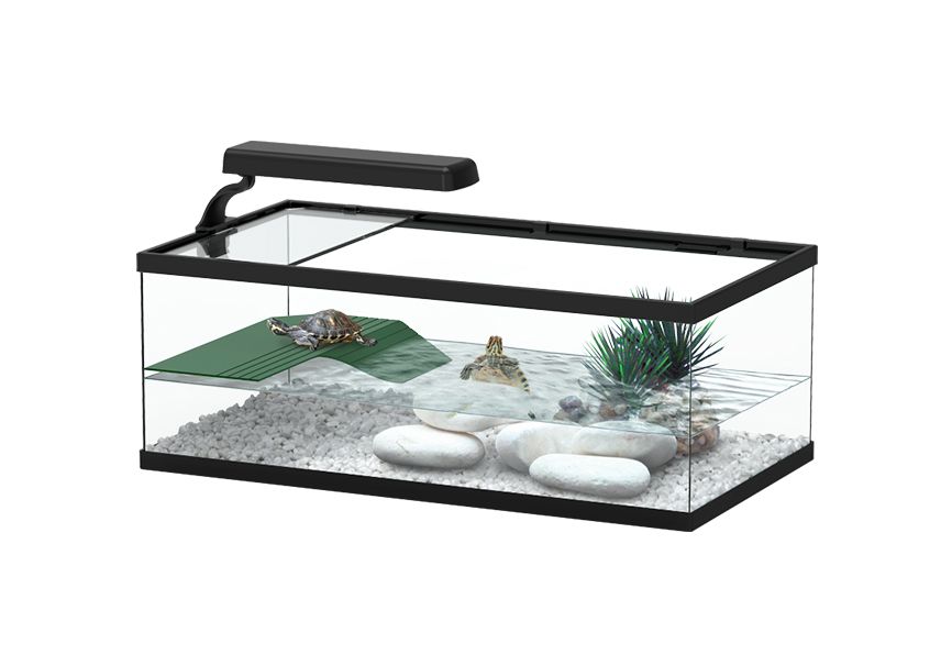 TORTUM Turtle Tank 55
