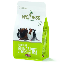 Padovan Wellness Guinea Pigs - 1 kg
