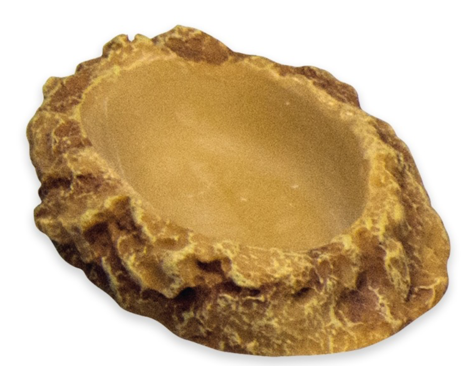 Flat Drinking Bowl Small