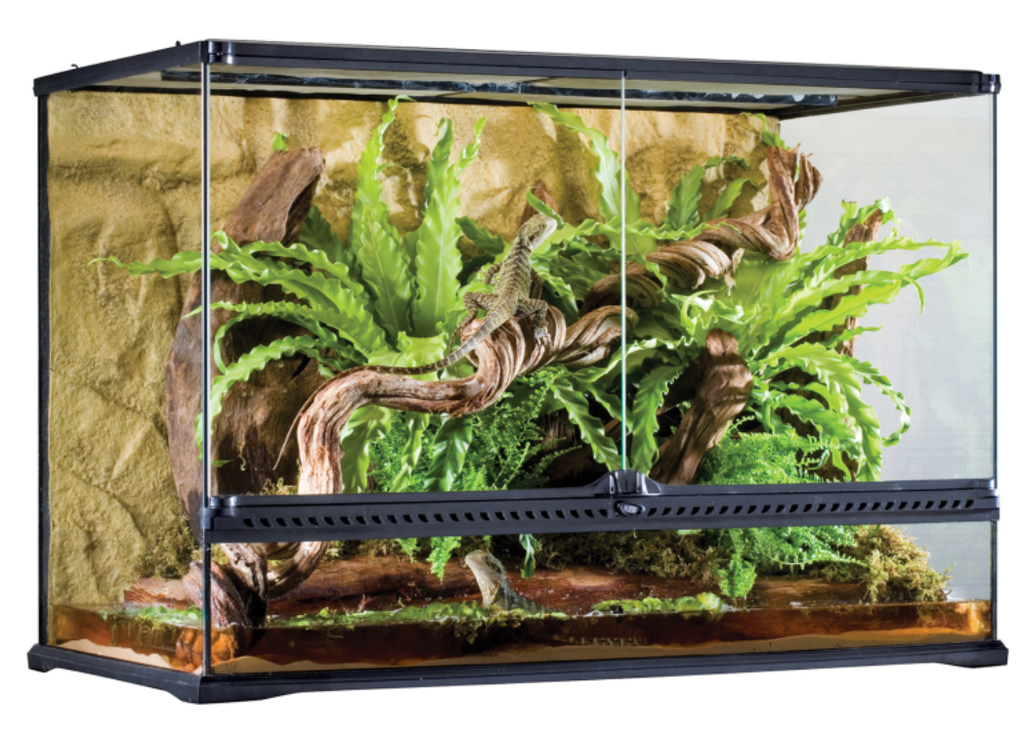 Exo Terra Tall Terrarium - Large - 90 x 45 x 60 cm