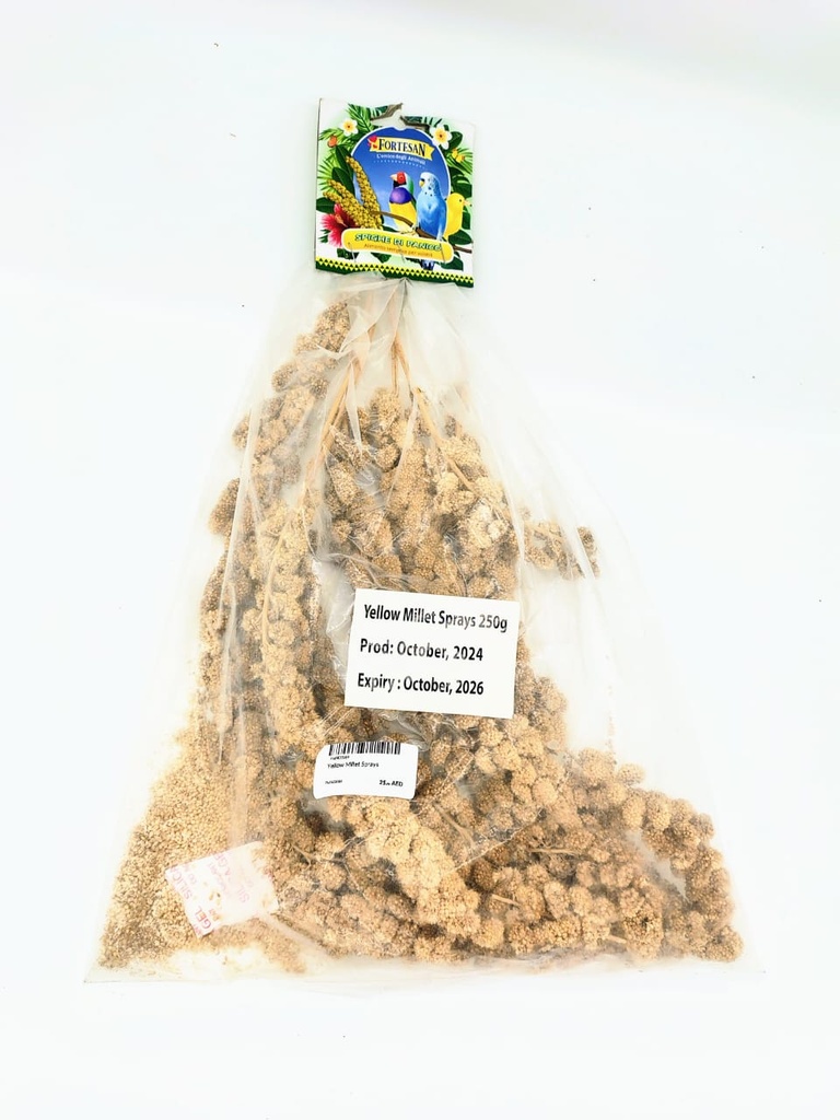 Yellow Millet Sprays