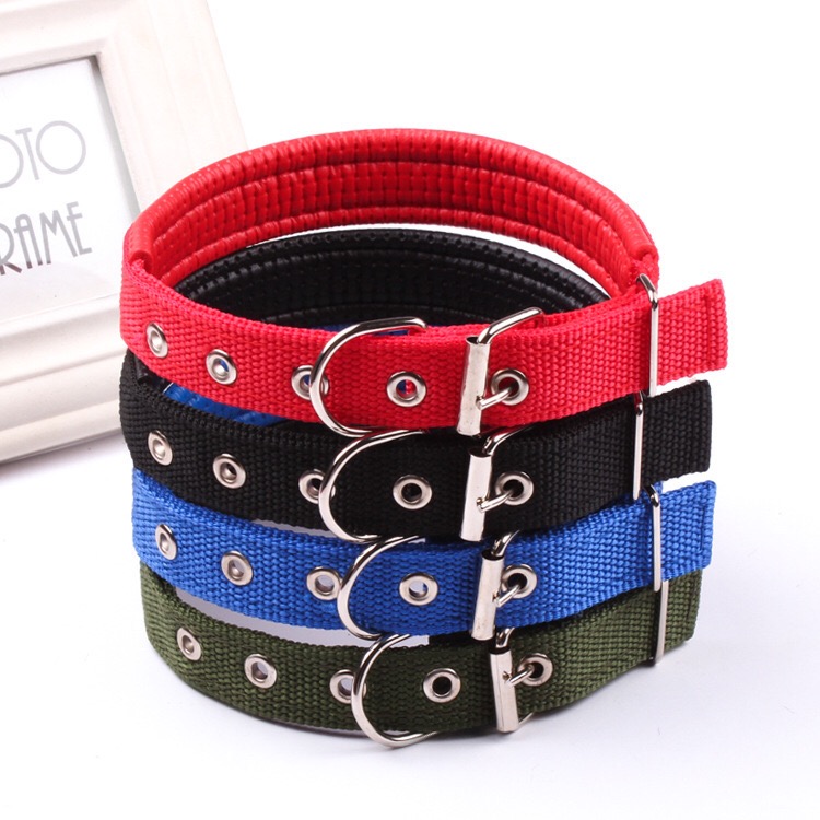 Petbroo Padded Dog Collar 3.0 cm