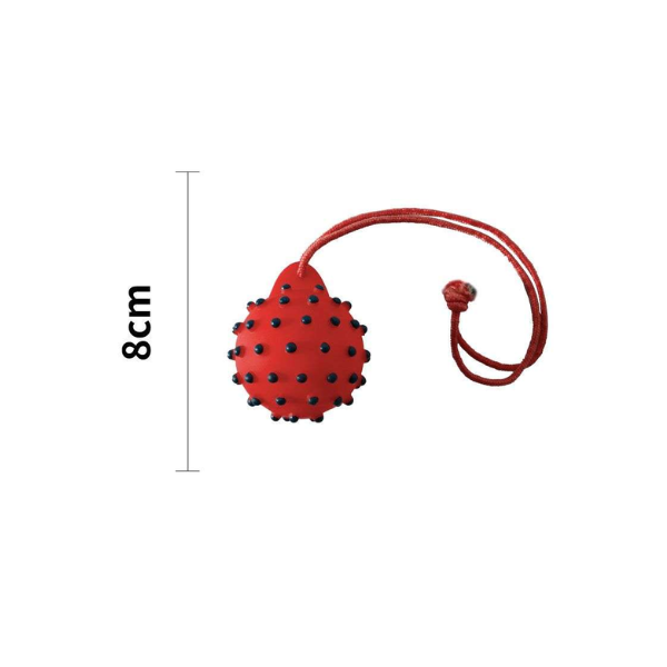Saas Ball with rope vinyl squeaky toy 8 cm