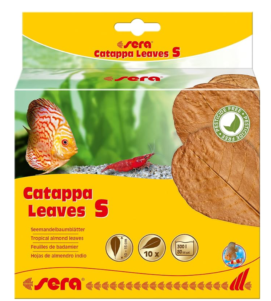 Sera Catappa Leaves (10pcs) S