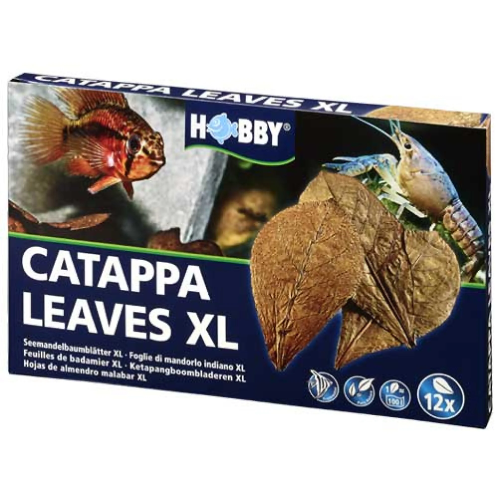Hobby Catappa Leaves XL (12 pcs)