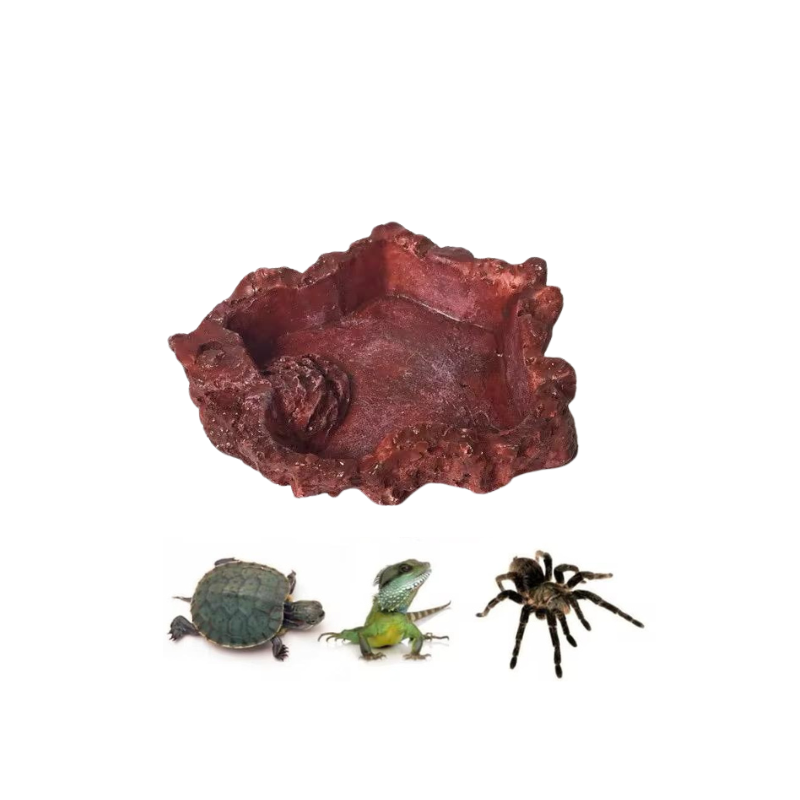Tortoise Feeders Resin 9 x 6 x 2