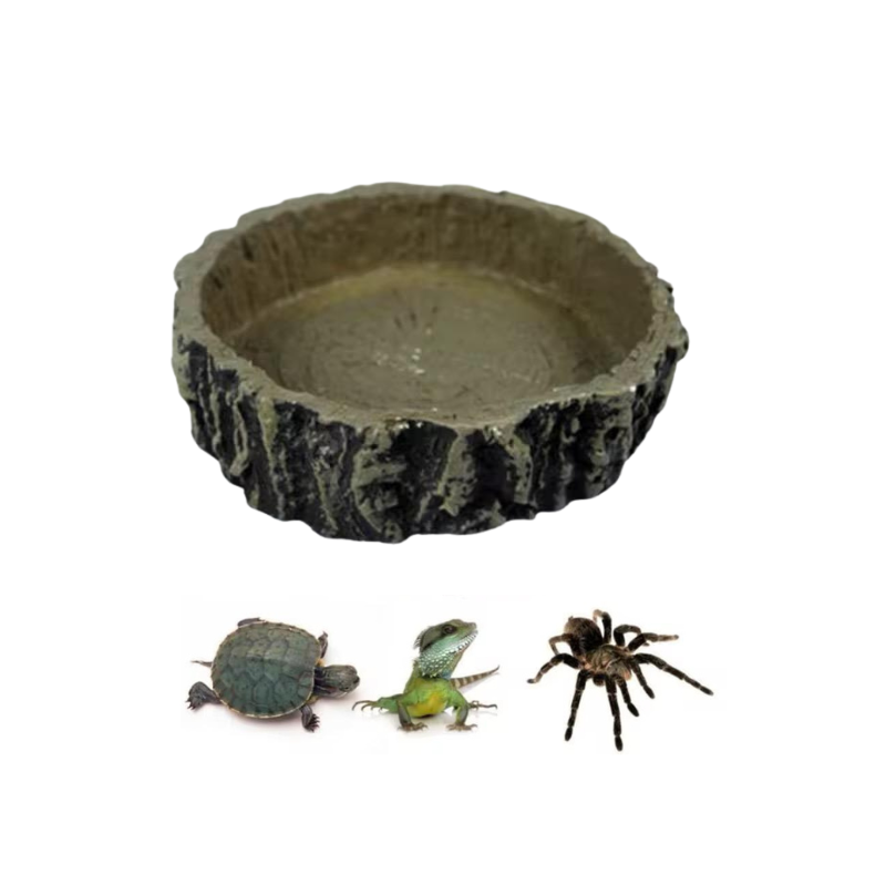 Tortoise Feeders Resin 10 x 10 x 2.5