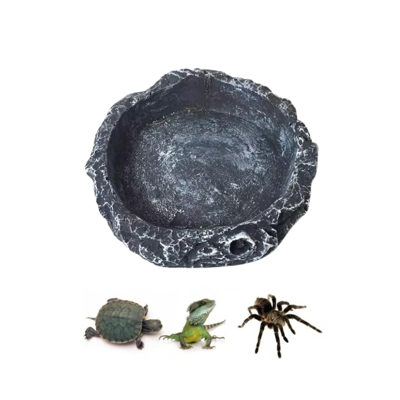 Tortoise Feeders Resin 8 x 8 x 2