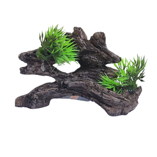 [795154851652] Karis Binary Aqua Decoration 13X5X7 cm