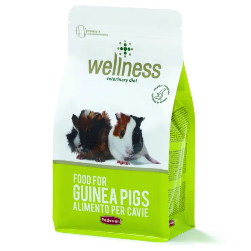 [8001254006857] Padovan Wellness Guinea Pigs - 1 kg