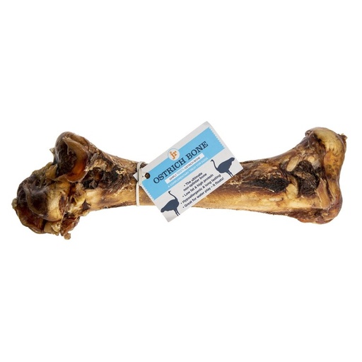 [604565018250] Ostrich Bone