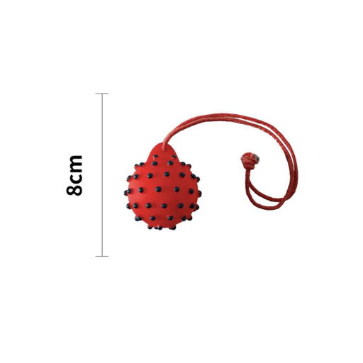 [1000000021479] Saas Ball with rope vinyl squeaky toy 8 cm