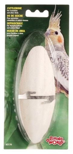 [080605821767] Cuttlebone White - Large