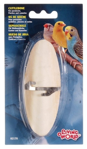 [080605821705] Cuttlebone White - Small