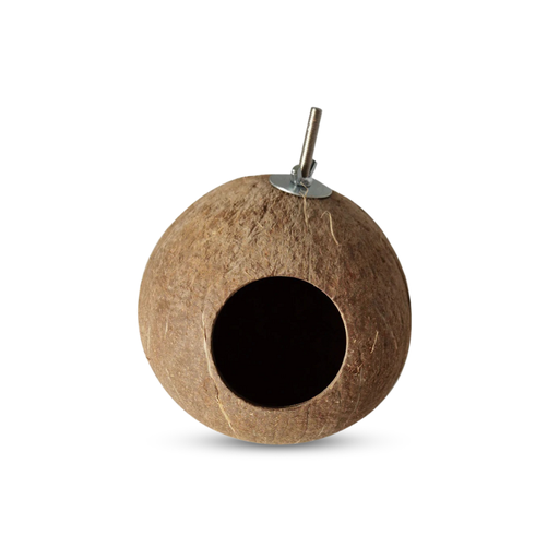 [1000000017014]   Bird Coconut Shell