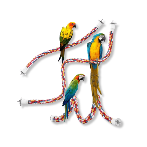 [6297222029955] Saas Bird Toys Cotton (2.5*105) 2995