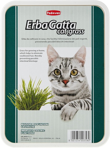 [8001254003580] Padovan Erbagatto Cat Grass
