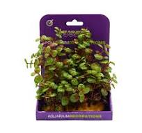 [0664554454889] Yusee Plastick Aquarium Plant - Artificial Plant - YS-60103 (15cm)[Size - M]