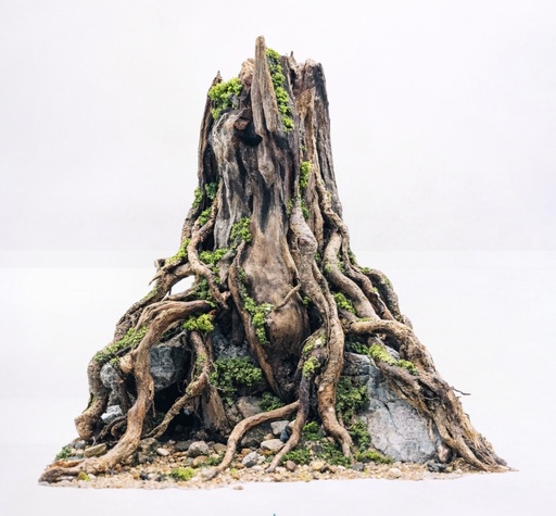 [FNF500034] Ancient Root Monolith Aquascape (Tank size: 30.30.30)