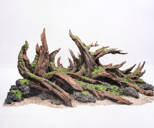 [FNF500046] Natural Driftwood Aquascape (Tank size: 60.30.35)