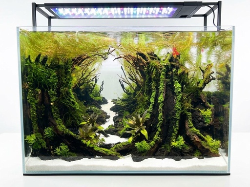 [FNF500019] Forest Portal Aquascape Set Up 50.33.35