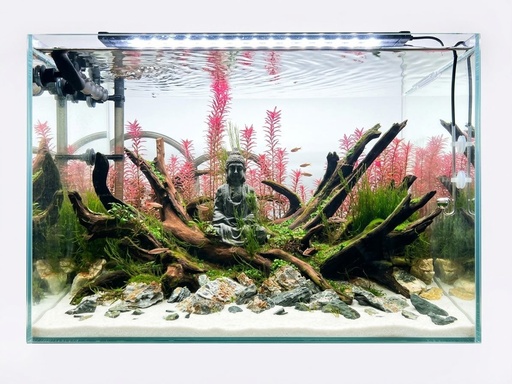 [FNF500058] Meditative Aquascape Setup Set (Tank size: 50.33.35)